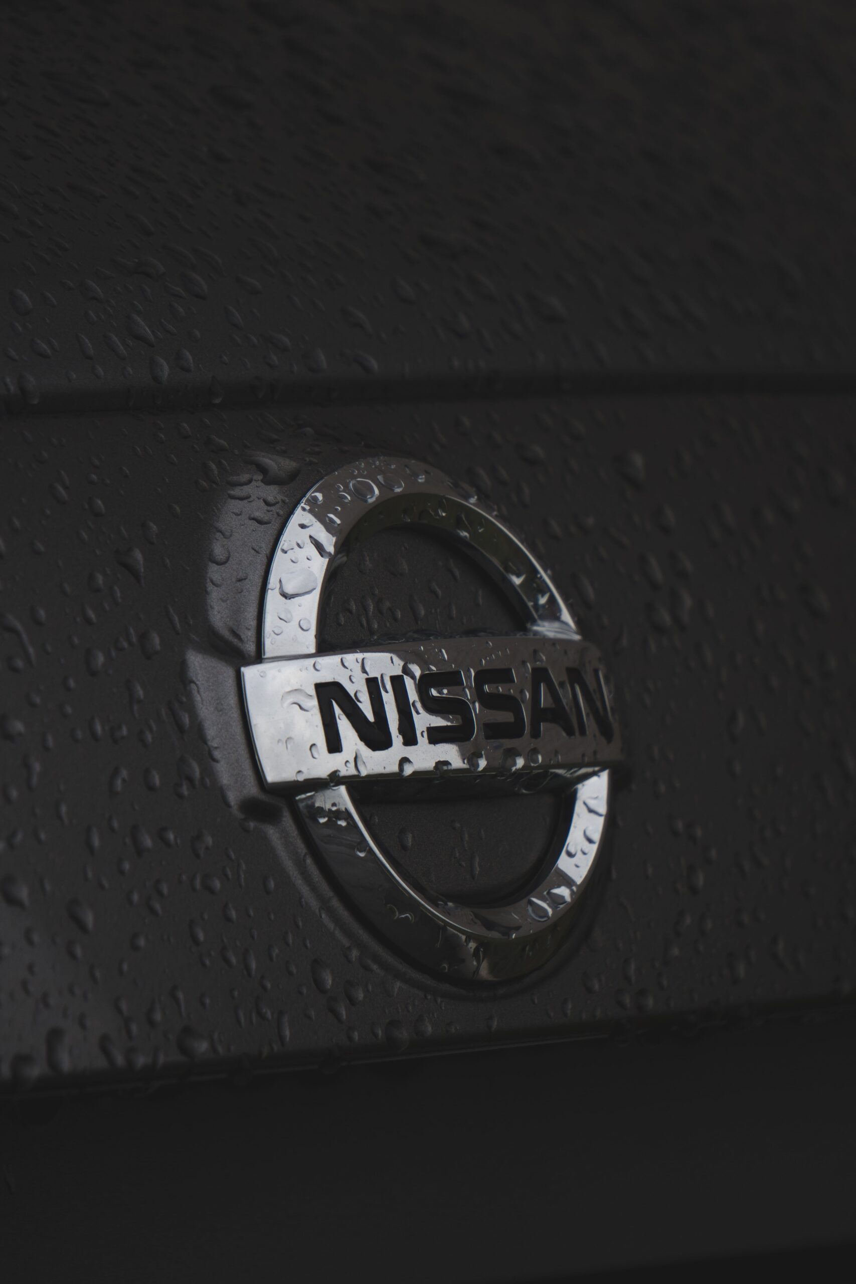New Nissan Ariya logo