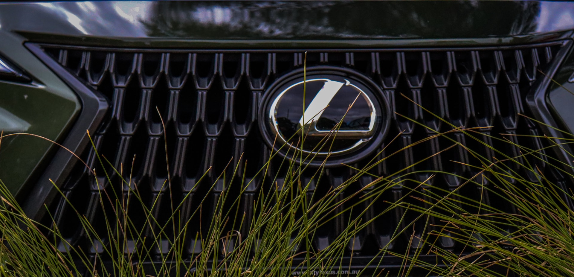 lexus badge